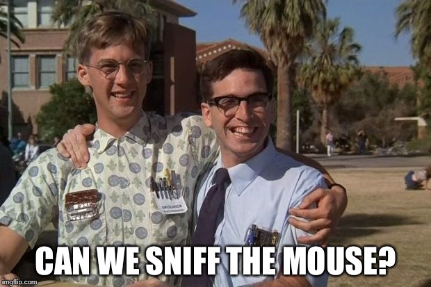 Revenge of the nerds | CAN WE SNIFF THE MOUSE? | image tagged in revenge of the nerds | made w/ Imgflip meme maker