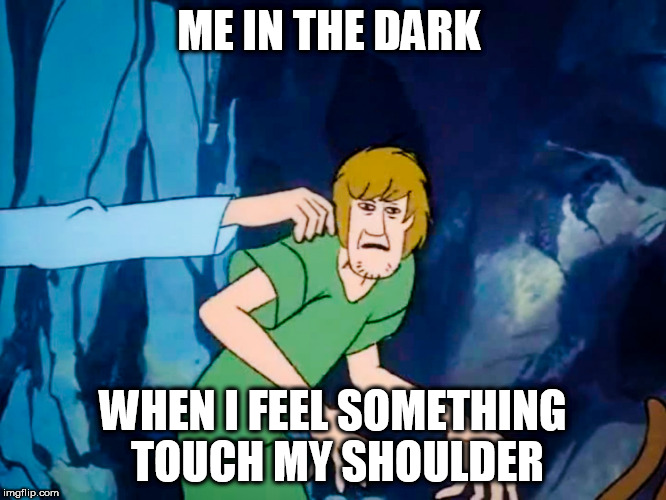 Surprised Shaggy | ME IN THE DARK; WHEN I FEEL SOMETHING TOUCH MY SHOULDER | image tagged in scooby doo,shaggy | made w/ Imgflip meme maker