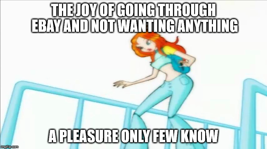 No Desire | THE JOY OF GOING THROUGH EBAY AND NOT WANTING ANYTHING; A PLEASURE ONLY FEW KNOW | image tagged in funny,funny meme | made w/ Imgflip meme maker