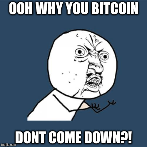 Y U No Meme |  OOH WHY YOU BITCOIN; DONT COME DOWN?! | image tagged in memes,y u no | made w/ Imgflip meme maker