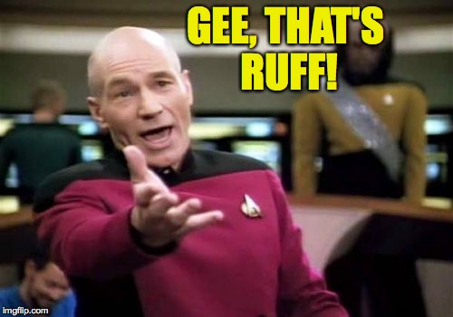 Picard Wtf Meme | GEE, THAT'S RUFF! | image tagged in memes,picard wtf | made w/ Imgflip meme maker