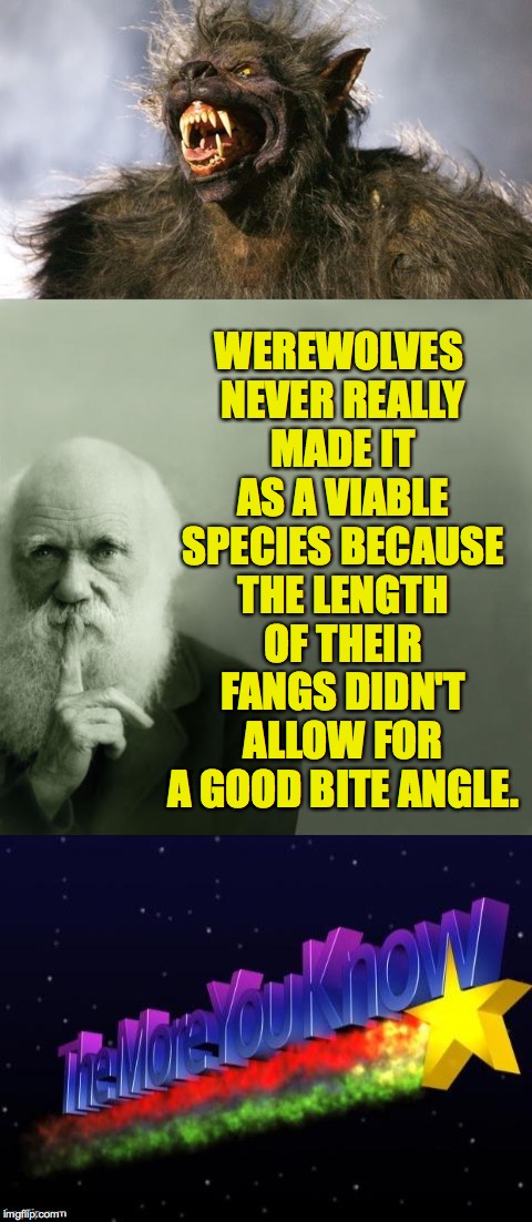 So we're all safe!  For now... | WEREWOLVES NEVER REALLY MADE IT AS A VIABLE SPECIES BECAUSE THE LENGTH OF THEIR FANGS DIDN'T ALLOW FOR A GOOD BITE ANGLE. | image tagged in werewolf,memes,darwin,evolution,the more you know | made w/ Imgflip meme maker