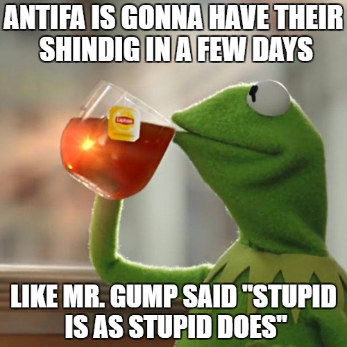 But That's None Of My Business Meme | ANTIFA IS GONNA HAVE THEIR SHINDIG IN A FEW DAYS; LIKE MR. GUMP SAID "STUPID IS AS STUPID DOES" | image tagged in memes,but thats none of my business,kermit the frog | made w/ Imgflip meme maker