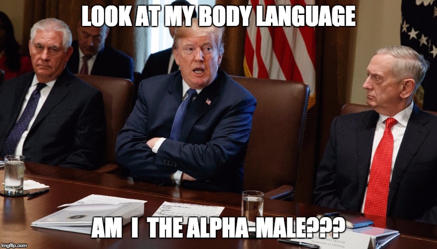 me me me | LOOK AT MY BODY LANGUAGE; AM  I  THE ALPHA-MALE??? | image tagged in donald trump approves,male,serious trump,how i think i look | made w/ Imgflip meme maker