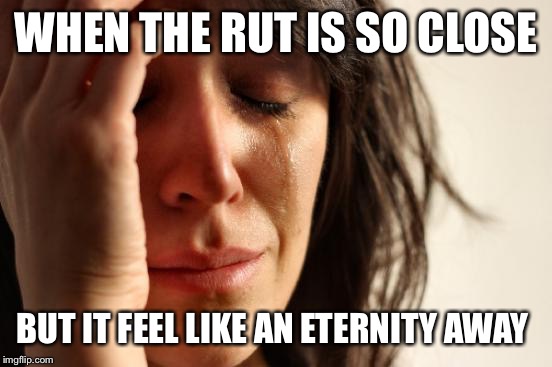First World Problems Meme | WHEN THE RUT IS SO CLOSE; BUT IT FEEL LIKE AN ETERNITY AWAY | image tagged in memes,first world problems | made w/ Imgflip meme maker