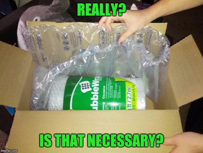 We don't want that bubble wrap to pop, do we | REALLY? IS THAT NECESSARY? | image tagged in pipe_picasso,package | made w/ Imgflip meme maker