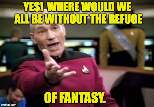 Picard Wtf Meme | YES!  WHERE WOULD WE ALL BE WITHOUT THE REFUGE OF FANTASY. | image tagged in memes,picard wtf | made w/ Imgflip meme maker