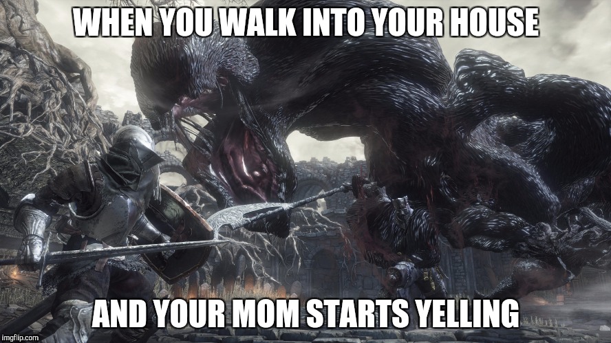 Welcome To Dark Souls | WHEN YOU WALK INTO YOUR HOUSE; AND YOUR MOM STARTS YELLING | image tagged in welcome to dark souls | made w/ Imgflip meme maker