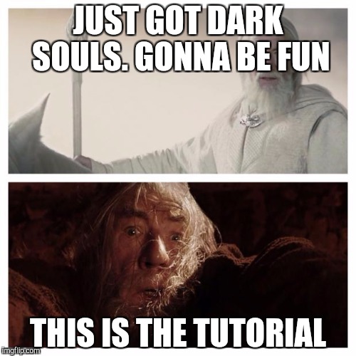 Dark Souls 2 | JUST GOT DARK SOULS. GONNA BE FUN; THIS IS THE TUTORIAL | image tagged in dark souls 2 | made w/ Imgflip meme maker
