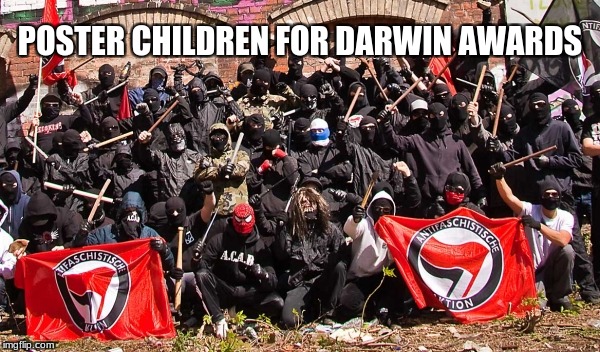 Antifa | POSTER CHILDREN FOR DARWIN AWARDS | image tagged in antifa | made w/ Imgflip meme maker