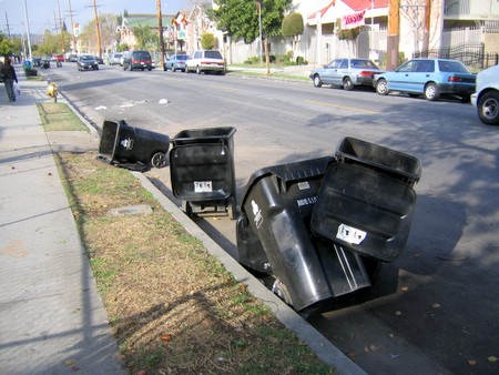 trash can fell Blank Meme Template