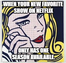 Art Week Blues | WHEN YOUR NEW FAVORITE SHOW ON NETFLIX; ONLY HAS ONE SEASON AVAILABLE. | image tagged in netflix,art week,funny memes | made w/ Imgflip meme maker