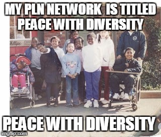 PEACE WITH DIVERSITY | MY PLN NETWORK  IS TITLED PEACE WITH DIVERSITY; PEACE WITH DIVERSITY | image tagged in bricolage | made w/ Imgflip meme maker