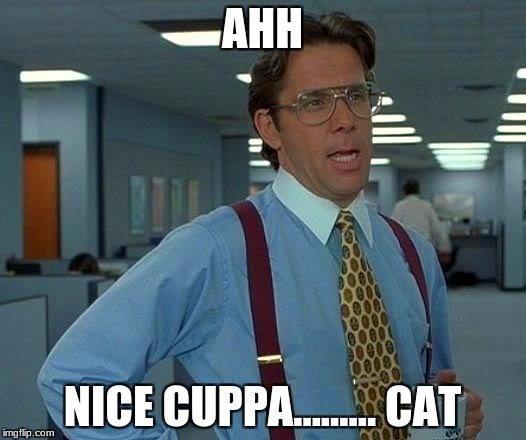 That Would Be Great | AHH; NICE CUPPA......... CAT | image tagged in memes,that would be great | made w/ Imgflip meme maker