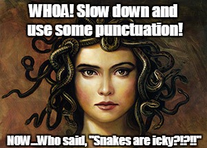 Medusa | WHOA! Slow down and use some punctuation! NOW...Who said, "Snakes are icky?!?!!" | image tagged in medusa | made w/ Imgflip meme maker