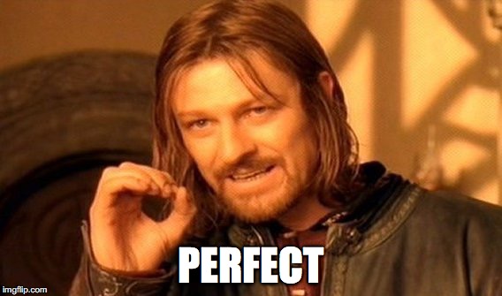 One Does Not Simply | PERFECT | image tagged in memes,one does not simply | made w/ Imgflip meme maker