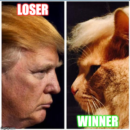 LOSER WINNER | made w/ Imgflip meme maker