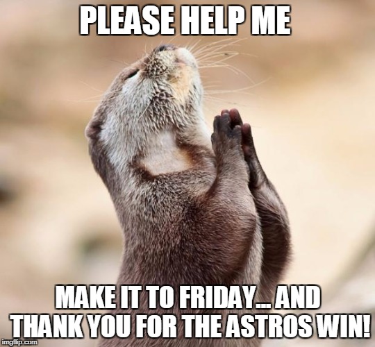 animal praying | PLEASE HELP ME; MAKE IT TO FRIDAY... AND THANK YOU FOR THE ASTROS WIN! | image tagged in animal praying | made w/ Imgflip meme maker