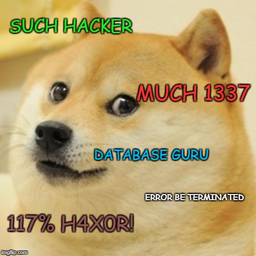Doge Meme | SUCH HACKER; MUCH 1337; DATABASE GURU; ERROR BE TERMINATED; 117% H4X0R! | image tagged in memes,doge | made w/ Imgflip meme maker