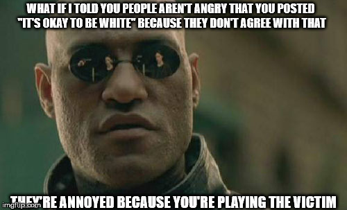 Matrix Morpheus Meme | WHAT IF I TOLD YOU PEOPLE AREN'T ANGRY THAT YOU POSTED "IT'S OKAY TO BE WHITE" BECAUSE THEY DON'T AGREE WITH THAT; THEY'RE ANNOYED BECAUSE YOU'RE PLAYING THE VICTIM | image tagged in memes,matrix morpheus | made w/ Imgflip meme maker
