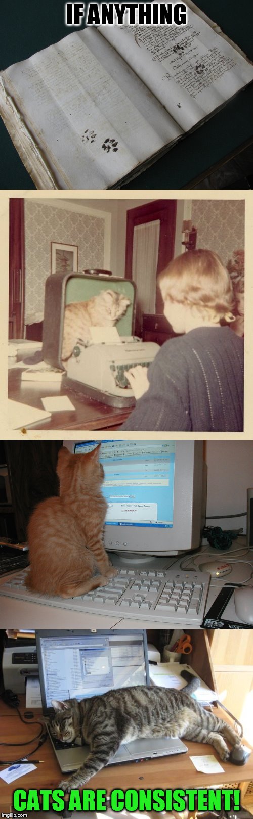 Something's don't change!  | IF ANYTHING; CATS ARE CONSISTENT! | image tagged in memes,cats,consistant,typewriter,old books,computers | made w/ Imgflip meme maker