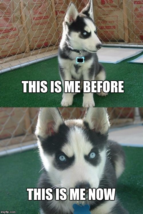 Insanity Puppy | THIS IS ME BEFORE; THIS IS ME NOW | image tagged in memes,insanity puppy | made w/ Imgflip meme maker