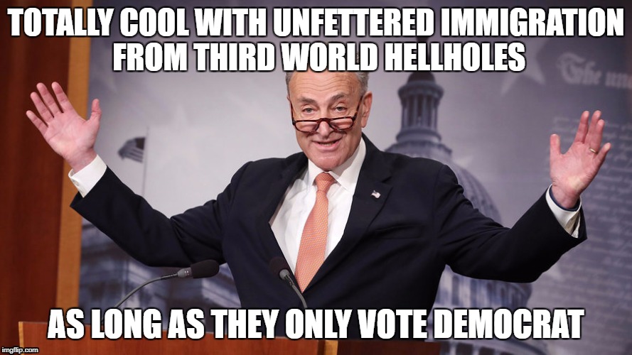 Chuck Schumer | TOTALLY COOL WITH UNFETTERED IMMIGRATION FROM THIRD WORLD HELLHOLES; AS LONG AS THEY ONLY VOTE DEMOCRAT | image tagged in chuck schumer | made w/ Imgflip meme maker