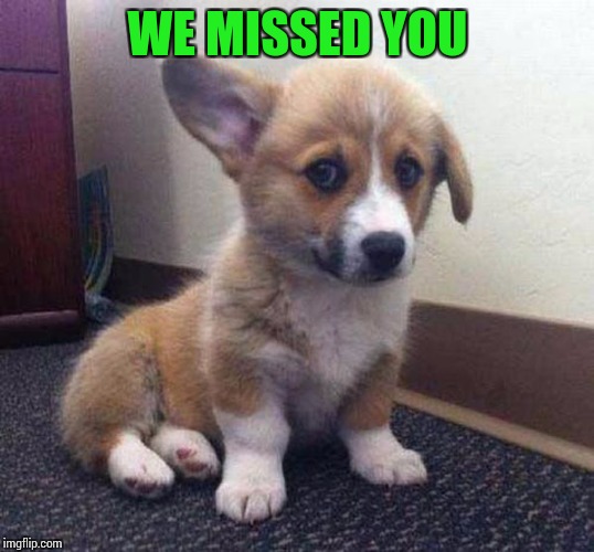 WE MISSED YOU | made w/ Imgflip meme maker