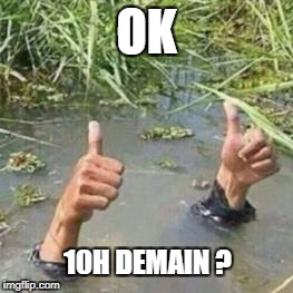 ok in florida | OK; 10H DEMAIN ? | image tagged in ok in florida | made w/ Imgflip meme maker