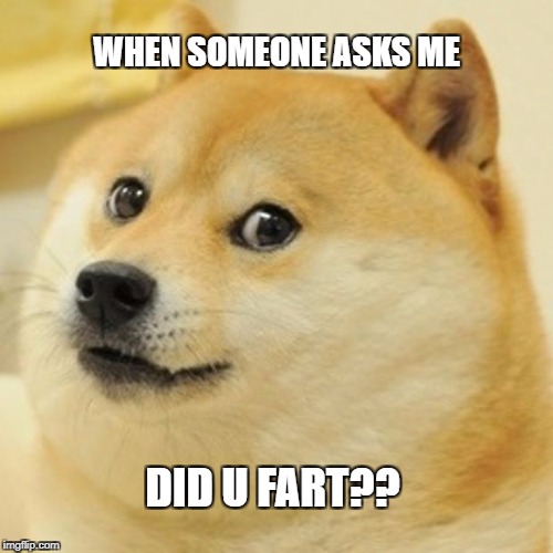 Doge | WHEN SOMEONE ASKS ME; DID U FART?? | image tagged in memes,doge | made w/ Imgflip meme maker