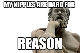 philosopher | MY NIPPLES ARE HARD FOR; REASON | image tagged in philosopher | made w/ Imgflip meme maker