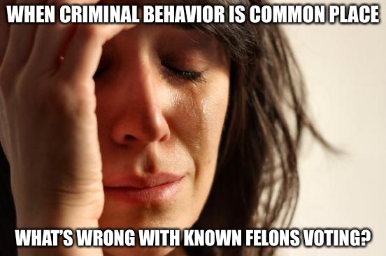 First World Problems Meme | WHEN CRIMINAL BEHAVIOR IS COMMON PLACE; WHAT’S WRONG WITH KNOWN FELONS VOTING? | image tagged in memes,first world problems | made w/ Imgflip meme maker
