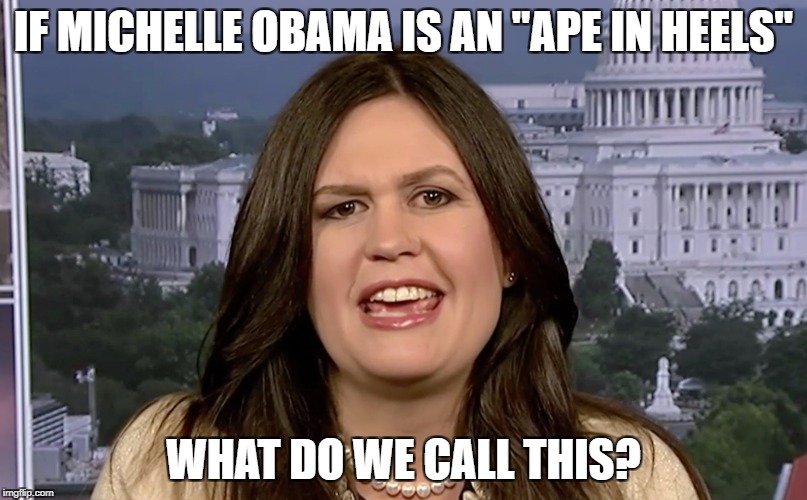 sarah-huckabee-sanders-wtf | IF MICHELLE OBAMA IS AN "APE IN HEELS"; WHAT DO WE CALL THIS? | image tagged in sarah-huckabee-sanders-wtf | made w/ Imgflip meme maker