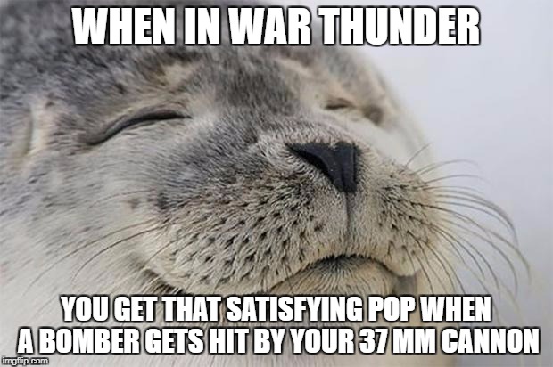 Satisfied Seal Meme | WHEN IN WAR THUNDER; YOU GET THAT SATISFYING POP WHEN A BOMBER GETS HIT BY YOUR 37 MM CANNON | image tagged in memes,satisfied seal | made w/ Imgflip meme maker