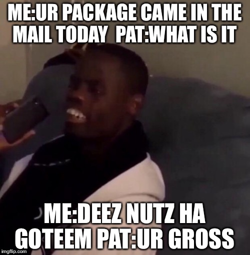 Deez Nutz | ME:UR PACKAGE CAME IN THE MAIL TODAY 
PAT:WHAT IS IT; ME:DEEZ NUTZ HA GOTEEM
PAT:UR GROSS | image tagged in deez nutz | made w/ Imgflip meme maker