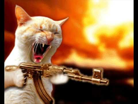 High Quality cat with gun Blank Meme Template