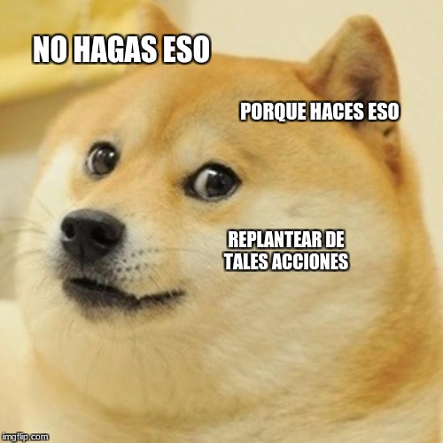 Doge Meme | NO HAGAS ESO; PORQUE HACES ESO; REPLANTEAR DE TALES ACCIONES | image tagged in memes,doge | made w/ Imgflip meme maker
