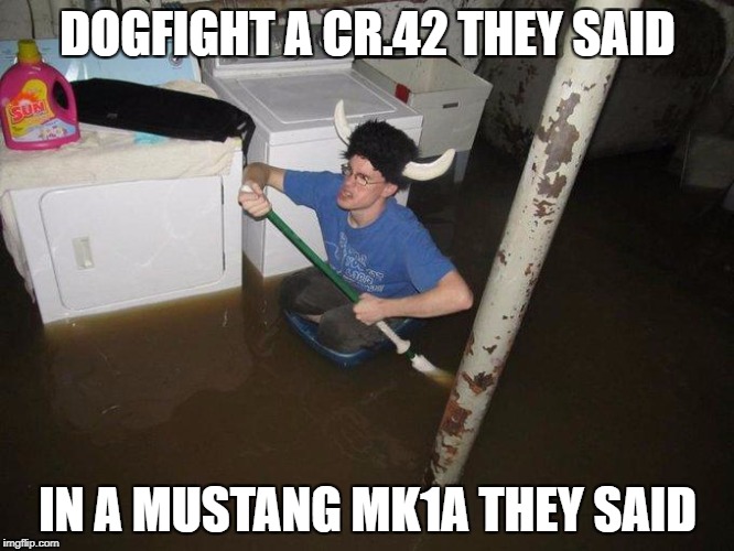 Laundry Viking Meme | DOGFIGHT A CR.42 THEY SAID; IN A MUSTANG MK1A THEY SAID | image tagged in memes,laundry viking | made w/ Imgflip meme maker