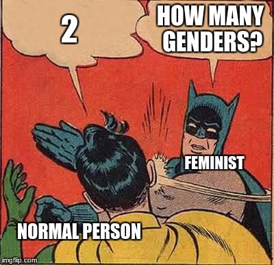 Batman Slapping Robin | 2; HOW MANY GENDERS? FEMINIST; NORMAL PERSON | image tagged in memes,batman slapping robin | made w/ Imgflip meme maker