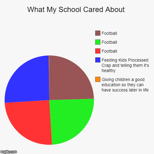 The Sad Truth | image tagged in pie charts,sad but true,school | made w/ Imgflip chart maker