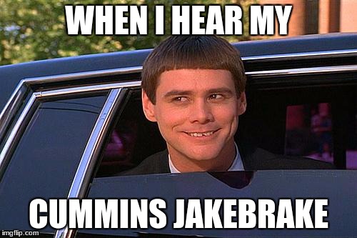 cool and stupid | WHEN I HEAR MY; CUMMINS JAKEBRAKE | image tagged in cool and stupid | made w/ Imgflip meme maker