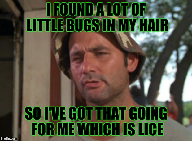 So I Got That Goin For Me Which Is Nice | I FOUND A LOT OF LITTLE BUGS IN MY HAIR; SO I'VE GOT THAT GOING FOR ME WHICH IS LICE | image tagged in memes,so i got that goin for me which is nice | made w/ Imgflip meme maker