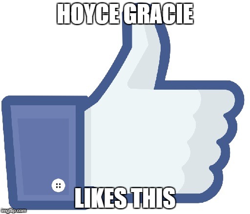 Facebook Like Button | HOYCE GRACIE; LIKES THIS | image tagged in facebook like button | made w/ Imgflip meme maker