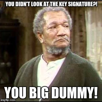 Fred Sanford Teaches Music | YOU DIDN'T LOOK AT THE KEY SIGNATURE?! YOU BIG DUMMY! | image tagged in fred sanford | made w/ Imgflip meme maker