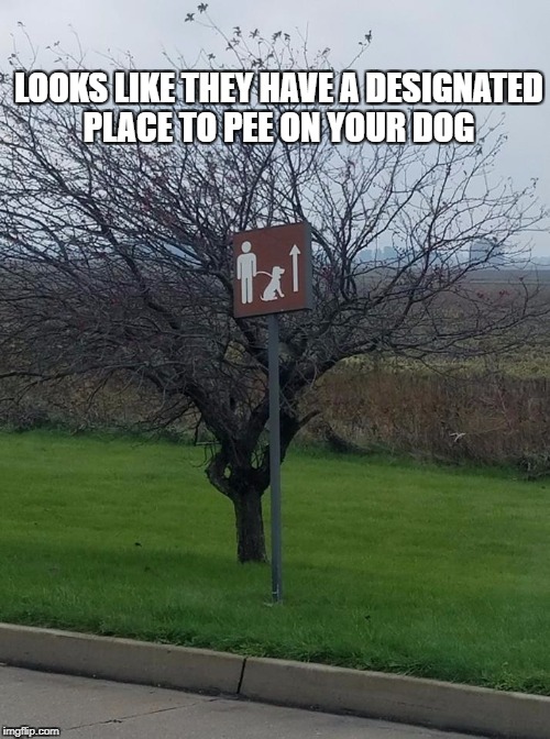 Good luck getting your dog up that tree | LOOKS LIKE THEY HAVE A DESIGNATED PLACE TO PEE ON YOUR DOG | image tagged in memes,signs | made w/ Imgflip meme maker