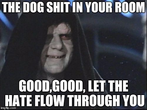 Dog Shit | THE DOG SHIT IN YOUR ROOM; GOOD,GOOD, LET THE HATE FLOW THROUGH YOU | image tagged in darth sidious,dog shit,palpatine,retaliate to star trek | made w/ Imgflip meme maker