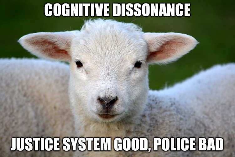 Believe What Ur Told | COGNITIVE DISSONANCE; JUSTICE SYSTEM GOOD, POLICE BAD | image tagged in sheeple,shit,stupid,gay,perv,police | made w/ Imgflip meme maker