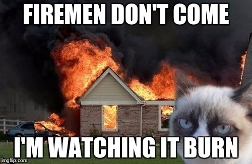 Burn Kitty Meme | FIREMEN DON'T COME; I'M WATCHING IT BURN | image tagged in memes,burn kitty,grumpy cat | made w/ Imgflip meme maker