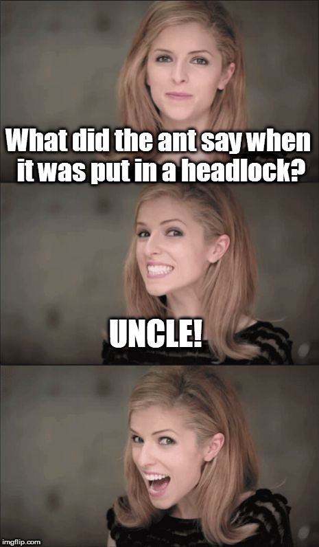 Bad Pun Anna Kendrick Meme | What did the ant say when it was put in a headlock? UNCLE! | image tagged in memes,bad pun anna kendrick | made w/ Imgflip meme maker