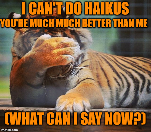 I CAN'T DO HAIKUS YOU'RE MUCH MUCH BETTER THAN ME (WHAT CAN I SAY NOW?) | made w/ Imgflip meme maker